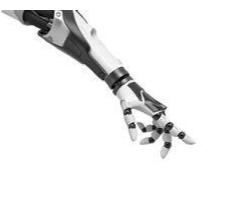 Domino Developer/Administrator (Remote – Contract)
